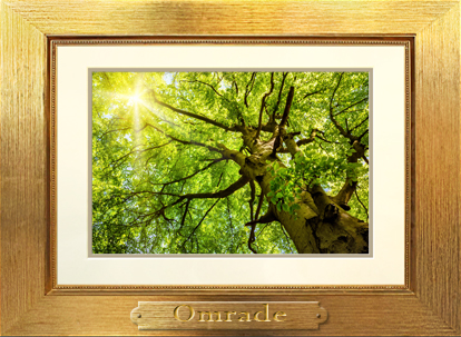 CM Webseite Bilderrahmen Galeri 8